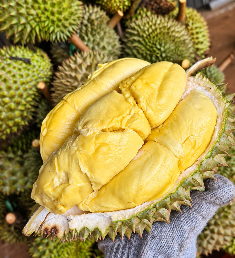 Why Vietnamese Durian Is Becoming a Global Favorite