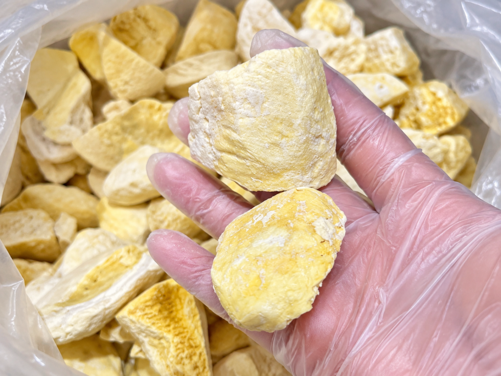 freeze-dried Vietnamese durian