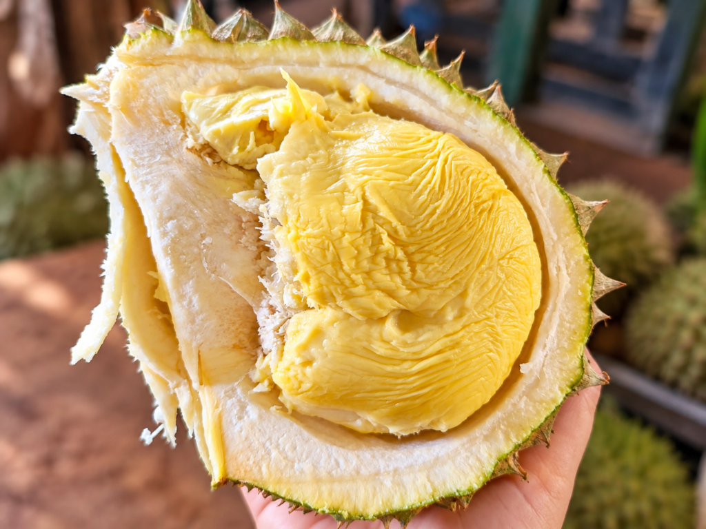 vietnamese durian