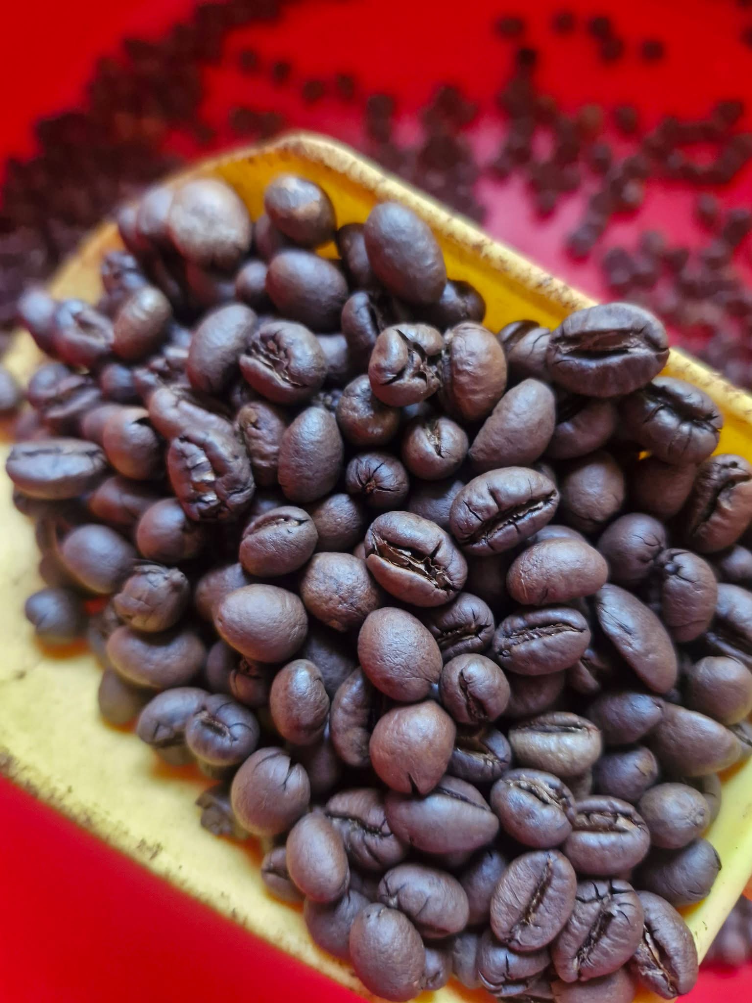 Exploring Vietnam’s Coffee Culture