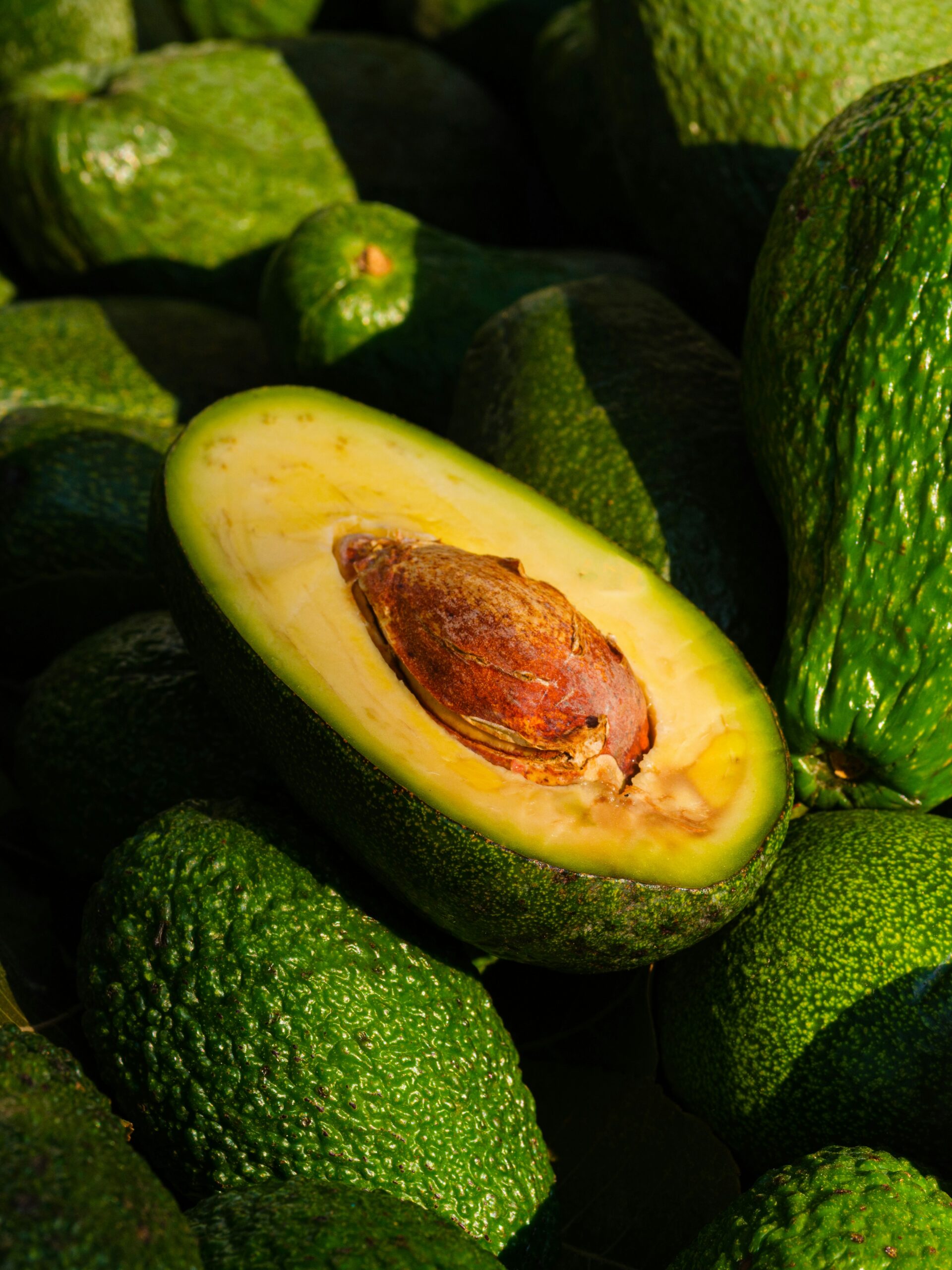 avocado